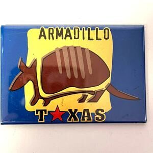 Vintage Armadillo Texas Refrigerator Magnet, Travel Souvenir